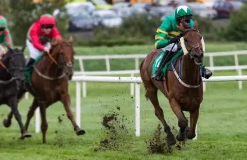 Top Five Cheltenham Sign Up Offers 2022 | Top races | Top Horses | To odds