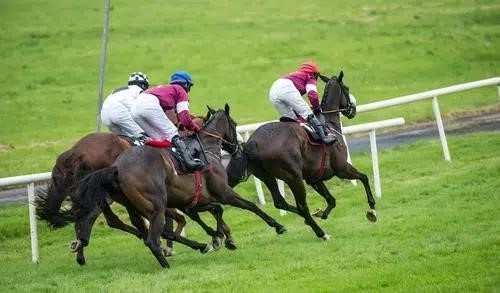 Советы Royal Ascot Day 1 2022 и лучшие предложения по ставкам