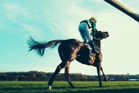 Grand National Steeple Chase 2022: Get all the odds tips and offers for Grand National 2022 here