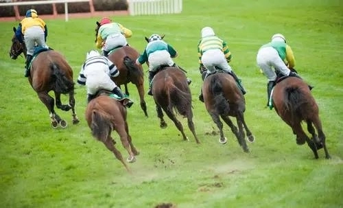 betfred grand national предлагает