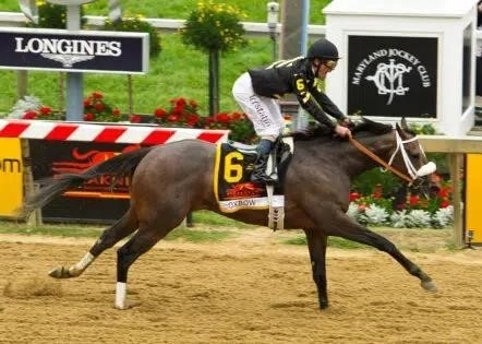 preakness 10