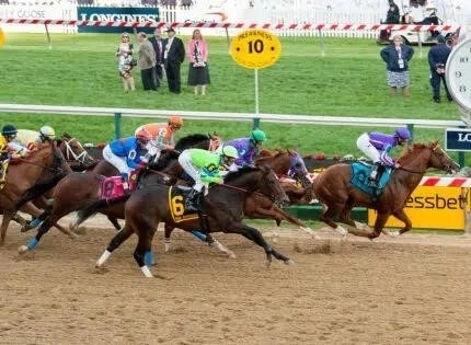 preakness 12