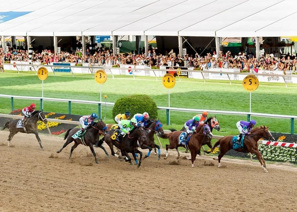 Советы по ставкам Preakness Stakes