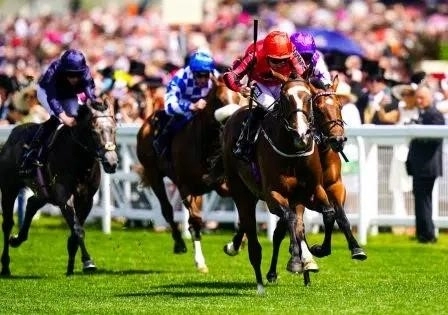 Royal ascot betting offers | Coronation stakes group 1 | odds and tips