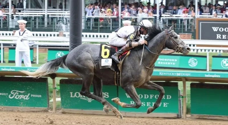 Belmont Stakes Picks and Analysis 2022: прогнозы мест и последние коэффициенты