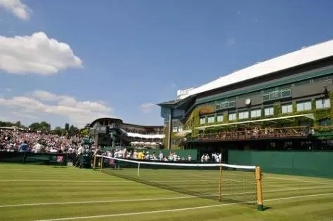 Top Free Wimbledon Betting Tips 2022 and Strategies