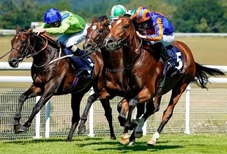 All the Best Glorious Goodwood Betting Offers and Odds 2022