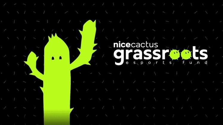 Киберспортивные игры Nineactus