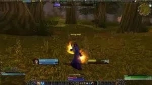 A player's perspective in World of Warcraft, showing a player's HUD and add-ons. WotLK Classic