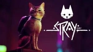 Stray Review