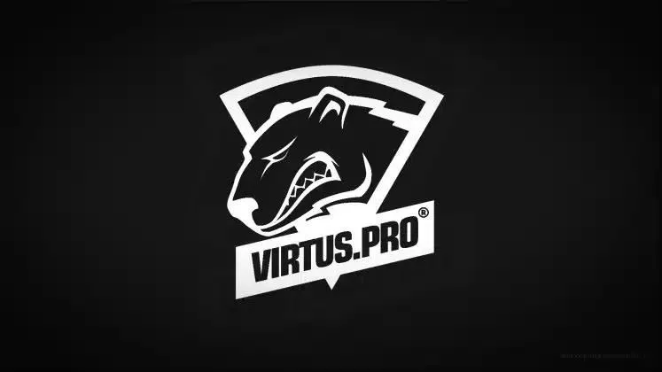 Логотип Virtus.Pro в виде головы медведя над названием команды отображается белым цветом на черном фоне.